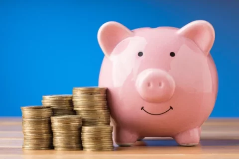 Confira 7 dicas para economizar e começar investir ( Imagem: Freepik)